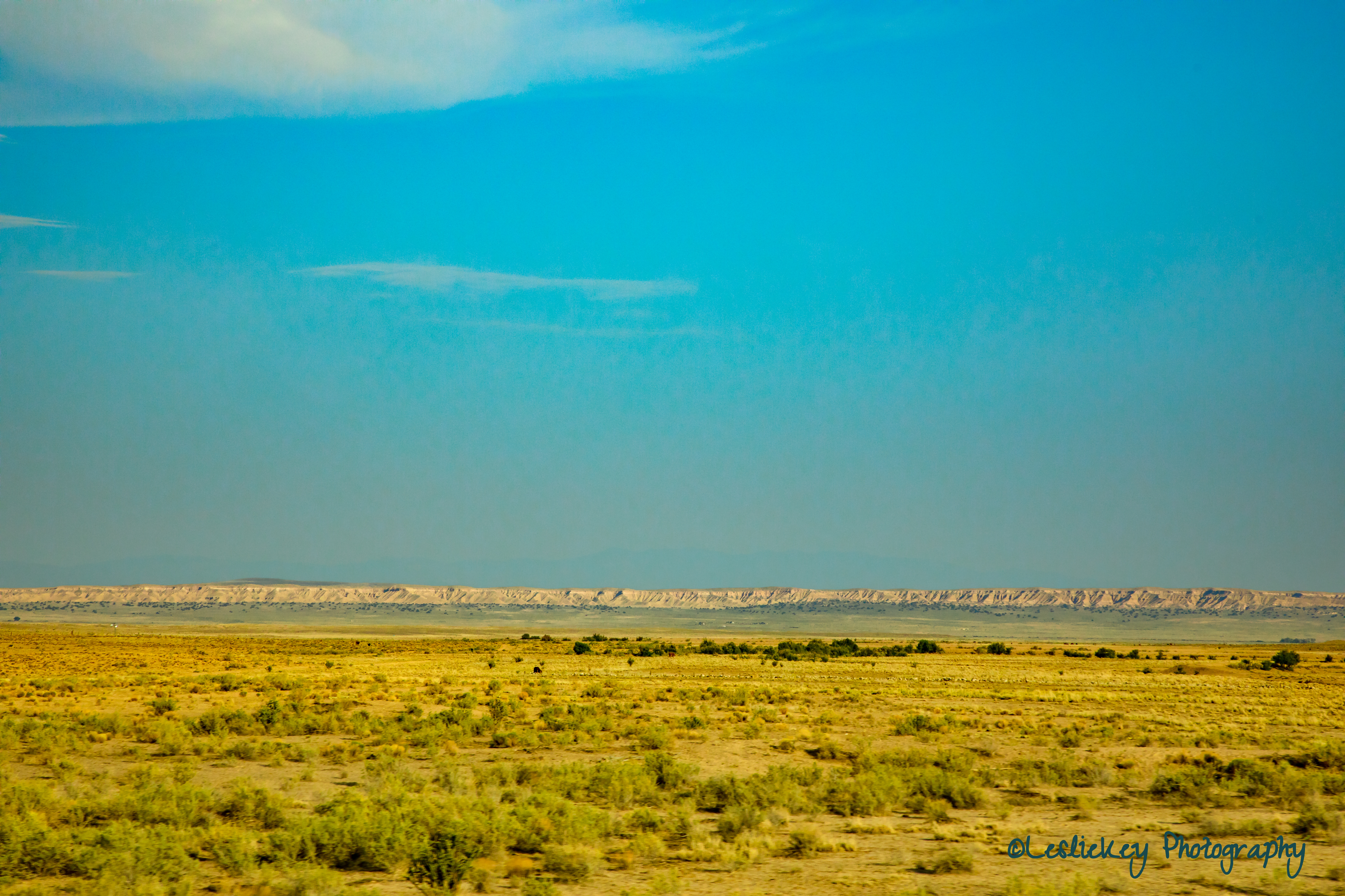 High Desert CR LR .jpg (1 of 1)